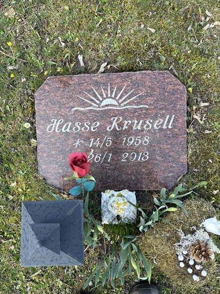 Grave number: LI 206
