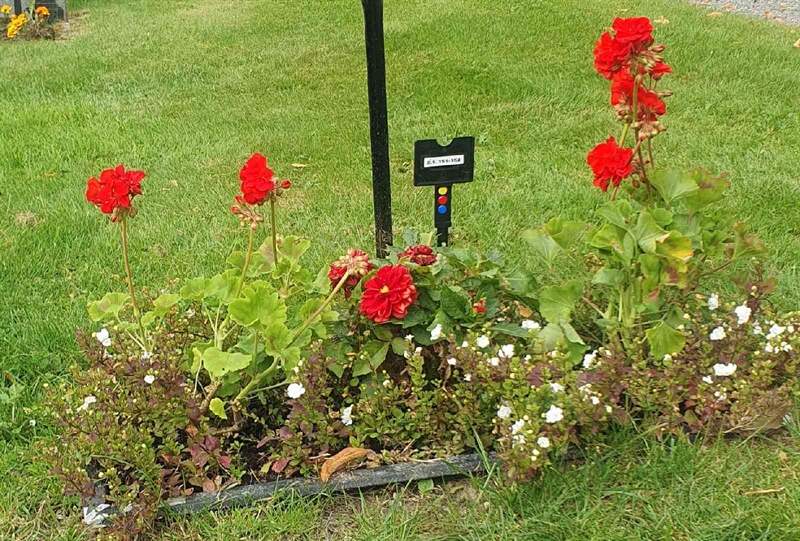 Grave number: 2 1 151-152
