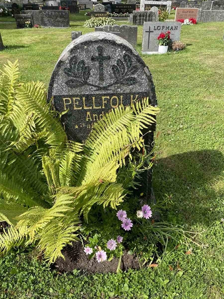 Grave number: N 4 1    38