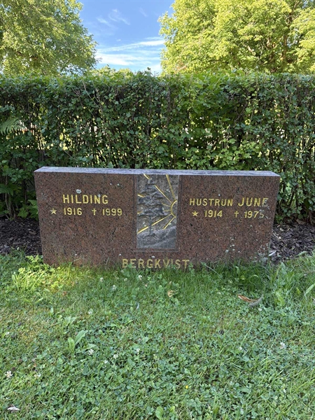 Hautatunnus: 2 09   113-114