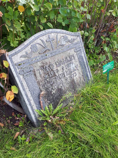 Gravnummer: NK F B   220A