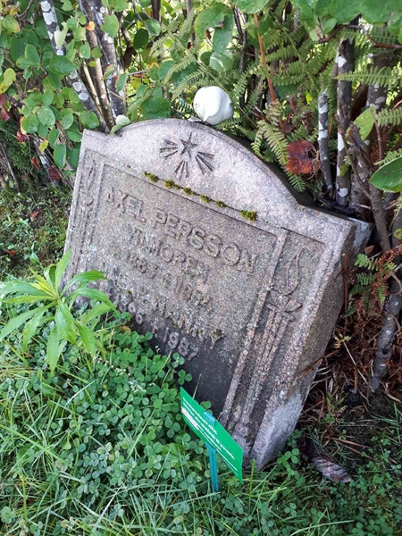 Hautatunnus: NK F B    70