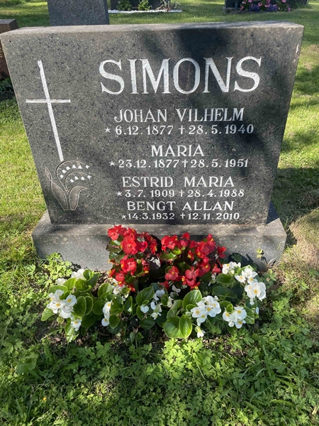 Grave number: N 5 3   345