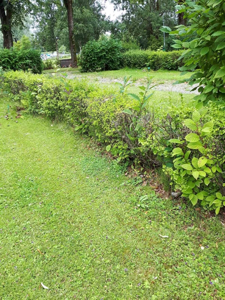 Grave number: GK F 5   596