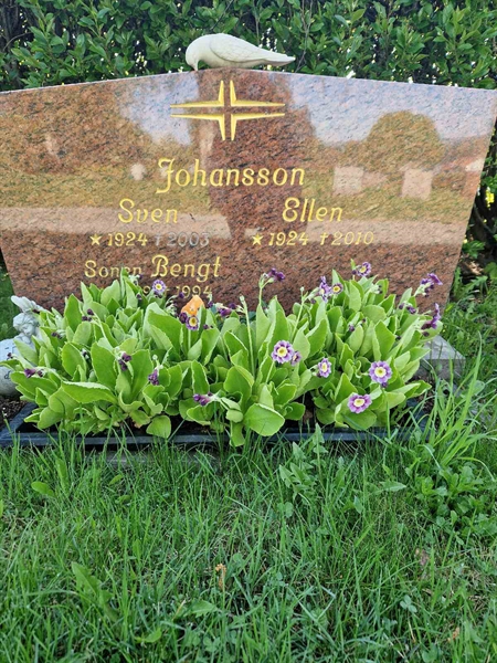 Grave number: 501 23 4635-4636