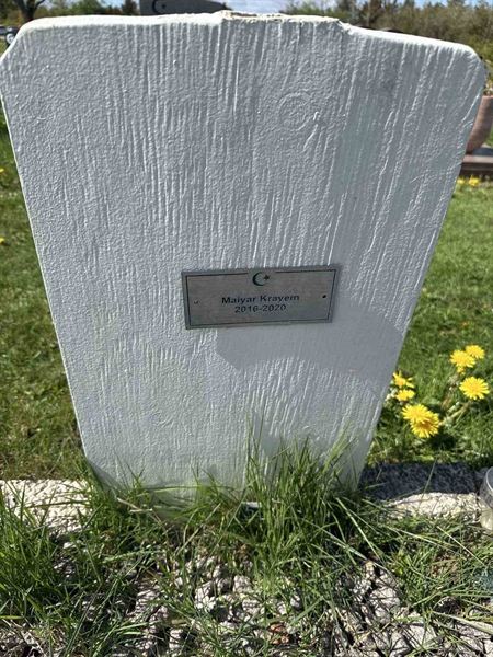 Grave number: R 05M 246