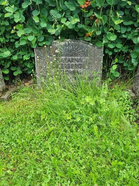 Grave number: 1 29 7