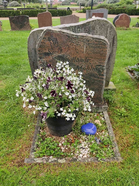 Grave number: VK F    68