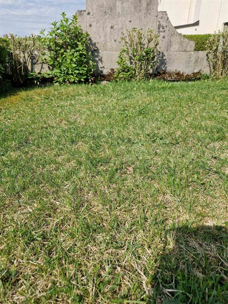 Grave number: 501 04 501-503
