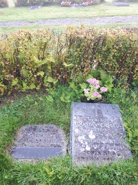 Hautatunnus: NK F G   263