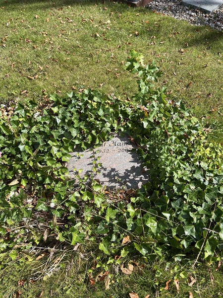 Grave number: NK Urn XVIII    59