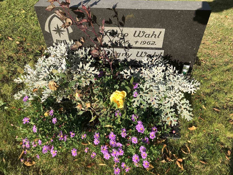 Grave number: ÅR B   218, 219