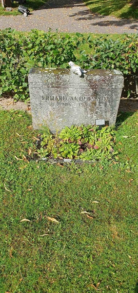 Grave number: Jä 12    29-30