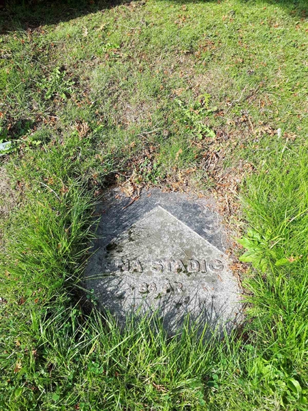 Hautatunnus: NK A A   239