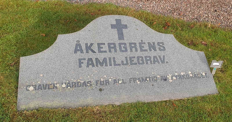 Grave number: 3 7     2