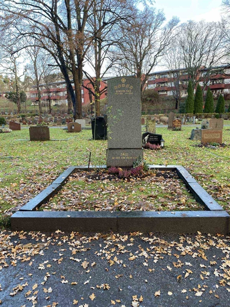 Hautatunnus: 1 D   113