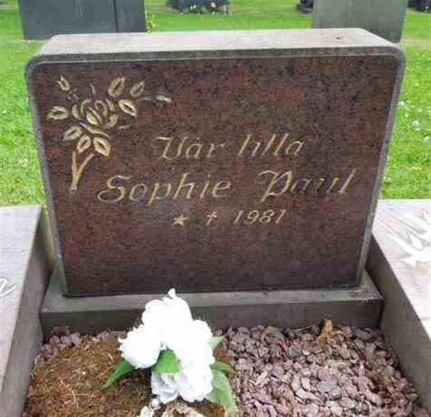 Grave number: SN D   234