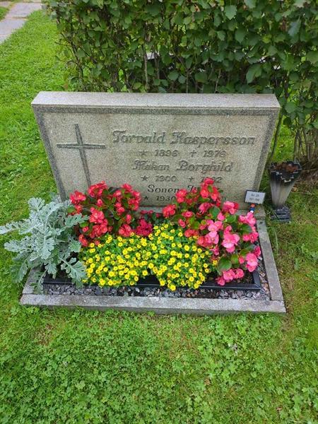 Grave number: 1 25   187-188