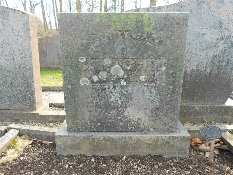 Grave number: NÅ N6   117