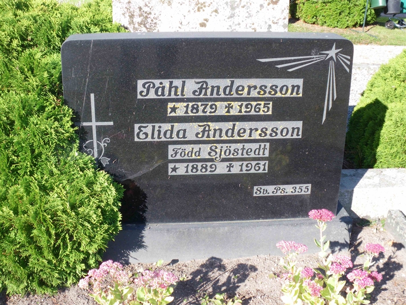 Grave number: NSK 06     3