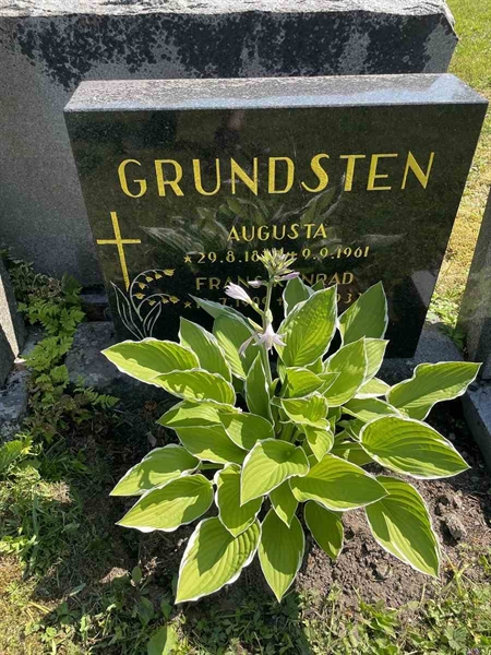 Grave number: N 5 1    78