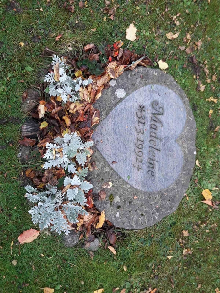 Grave number: TÖ 3   706