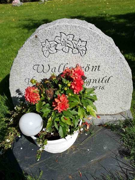 Hautatunnus: NK 19    44-45