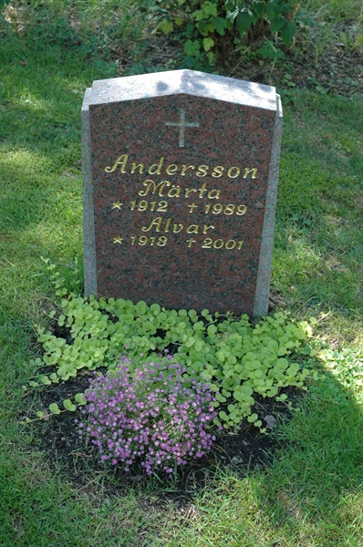 Grave number: H 3   36