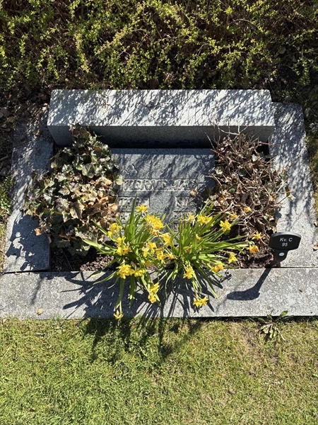 Gravnummer: 22 C    95