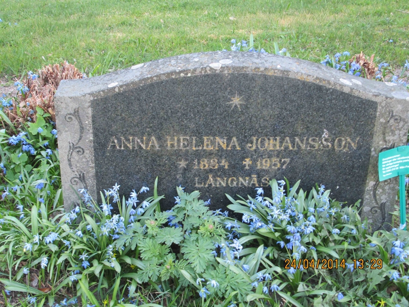 Grave number: KÄÖ A   491