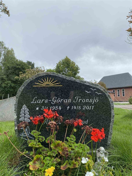 Hautatunnus: 1 19    100