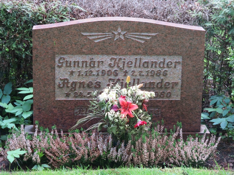 Grave number: HÖB 71   117