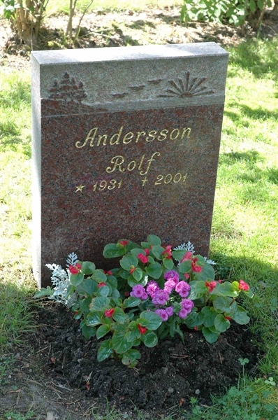 Grave number: H 3   32
