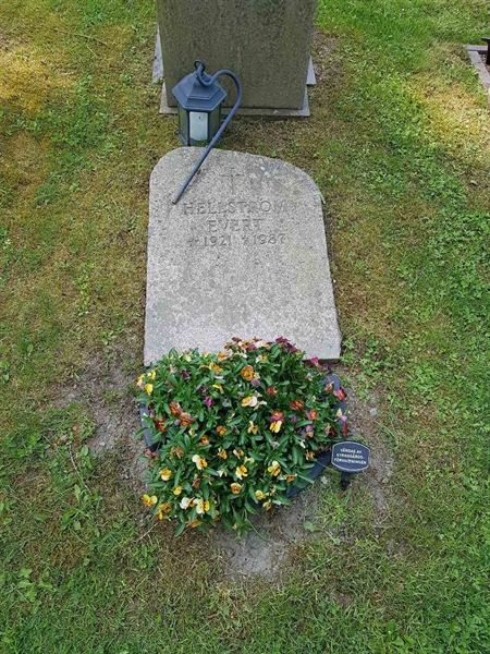 Grave number: 01  4424