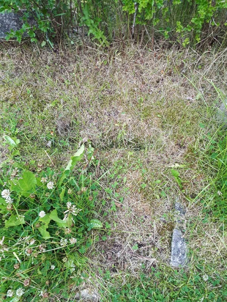 Hautatunnus: GK A 5   248M