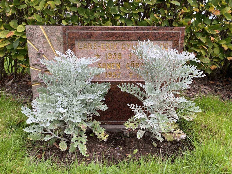 Hautatunnus: 1 19    230