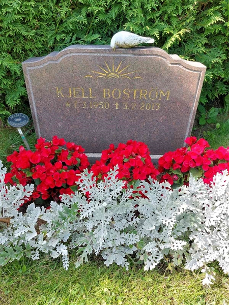 Hautatunnus: 1 D   084