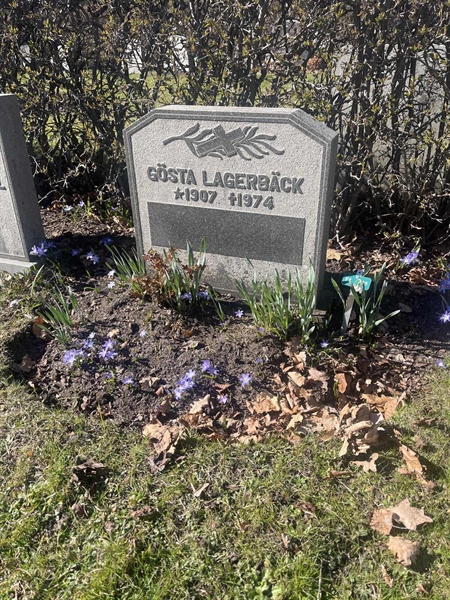 Grave number: 1 3 F1 125