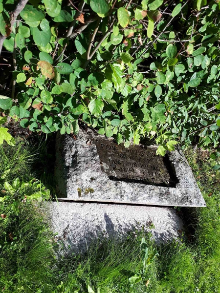 Hautatunnus: NK F G    29