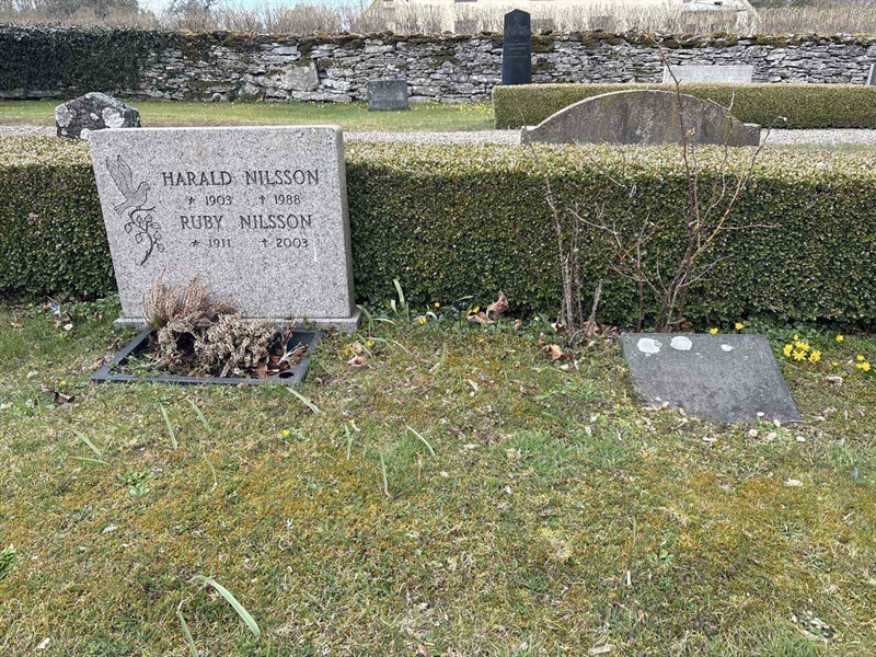 Hautatunnus: FA    44