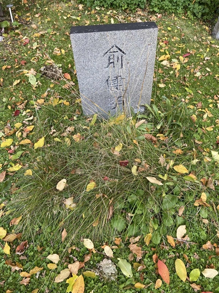 Grave number: 1 H   251