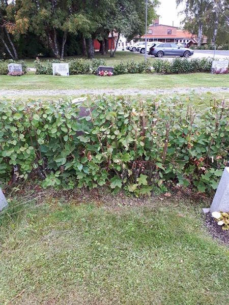 Gravnummer: NK F B    20