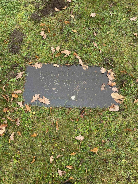 Grave number: VV 2    65