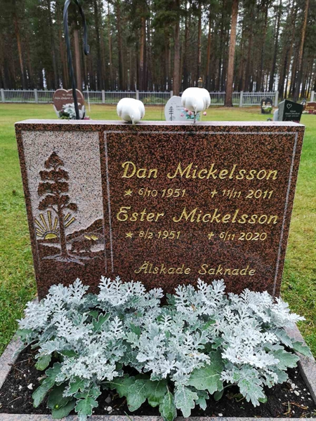 Hautatunnus: VLM 12    47-48