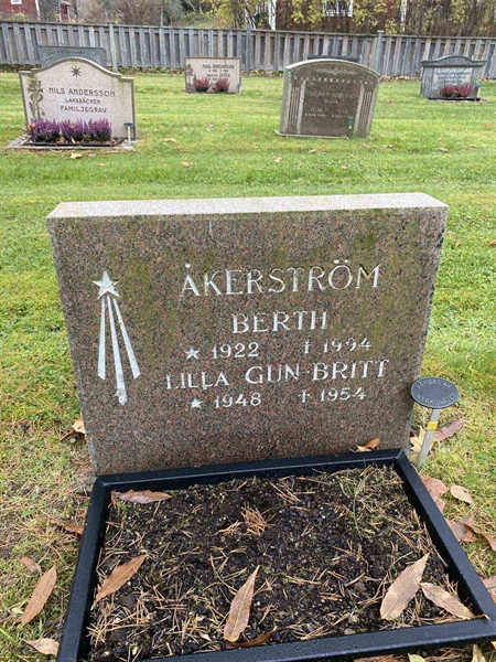 Gravnummer: 6 03    118, 119