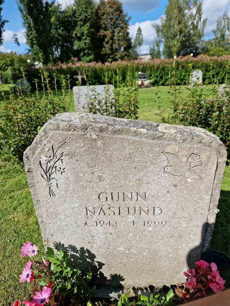 Hautatunnus: 452 25 1142