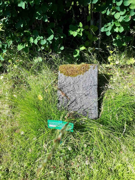 Grave number: GK A 5   138V