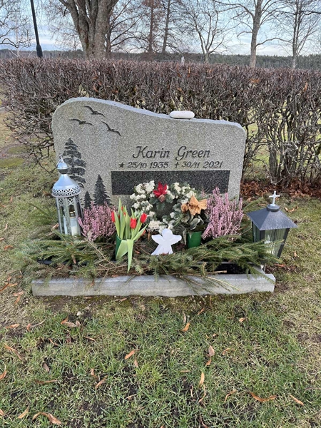 Hautatunnus: Vårv Kv5 96