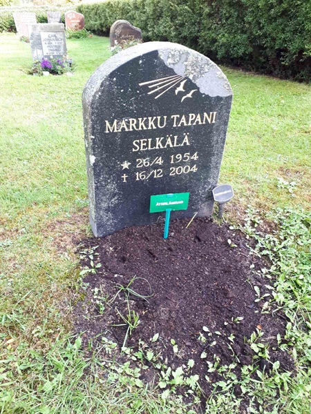 Hautatunnus: NK F D   241