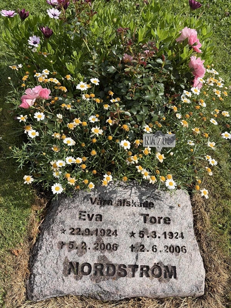 Grave number: 1 NA   785